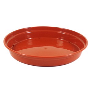 Terracotta Saucers